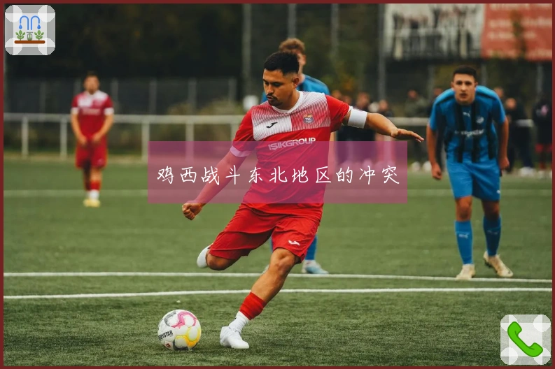 鸡西战斗东北地区的冲突